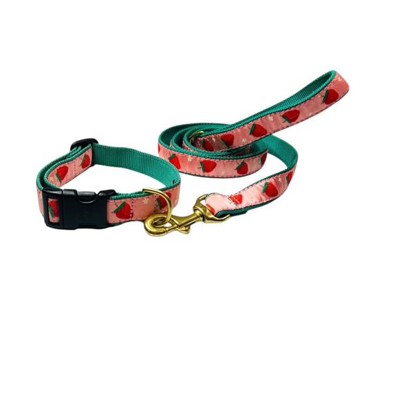 Up Country Strawberry Fields Dog Medium Collar Matching Lead Leash 2PC Set USA - Picture 4 of 14